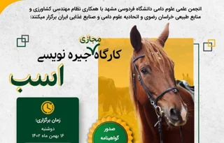 کارگاه مجازی جیره‌نویسی اسب