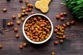 بررسی معنای Chicken meal در غذای خشک و تفاوت آن با Chicken By-Products