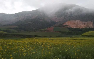 [دیدنی‌ها] ایران زیبا‌: قوچ اوریال در زمستان پارک‌ملّی گلستان!