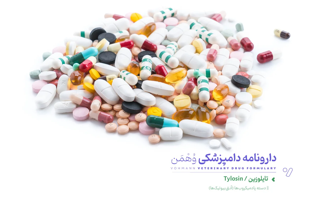 معرفی کامل داروی پادمیکروبی تایلوزین، کاربرد‌ها و روش مصرف