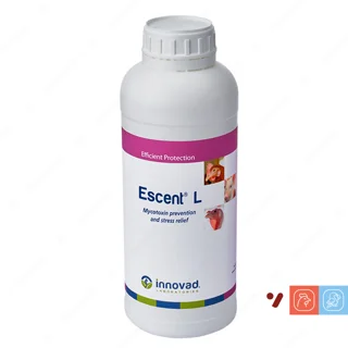 محلول اسنت ال (Escent L) اینوواد - حجم یک لیتر