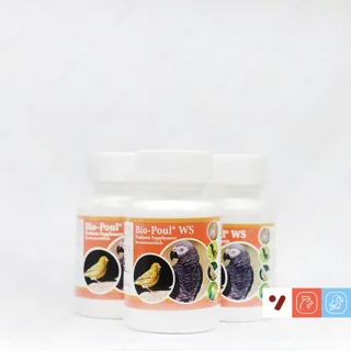 پودر پروبیوتیک بیوپول (Biopoul WS) بیودپ - قوطی ۸۰ گرمی