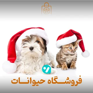 پت شاپ مارال