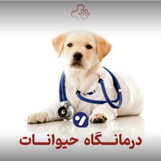 بیمارستان « پاژ »