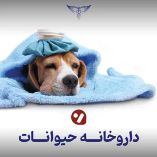 شکوه توکلی نیشابور
