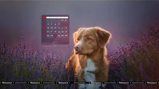 [رایگان] تقویم اردی‌بهشت ماه برای صفحه نمایش